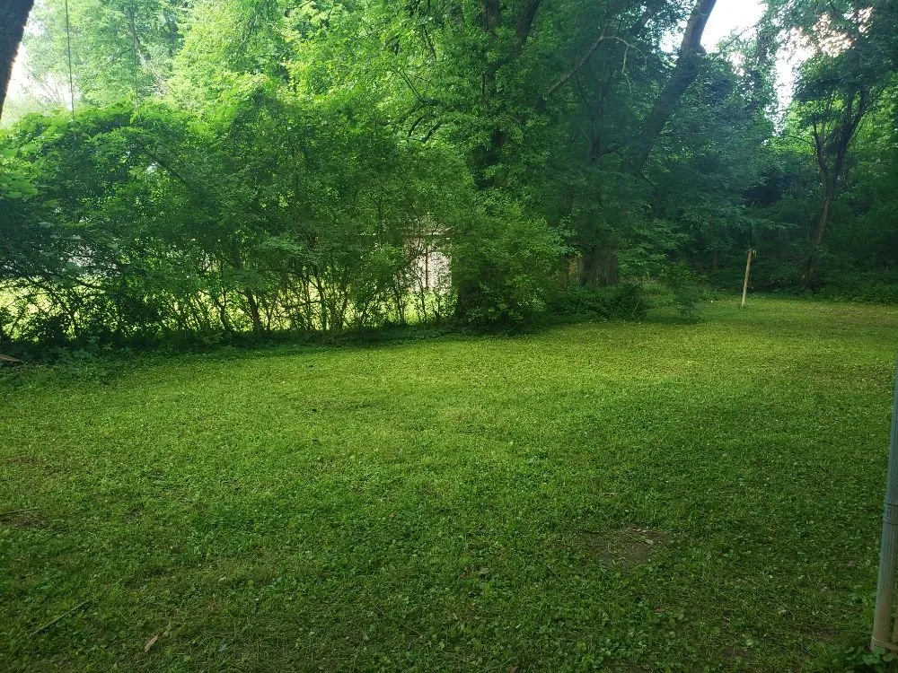 Affordable lawn mowing service in Newburgh, IN by Astronomically Affordable Assistance