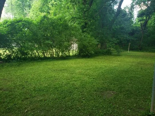 Astronomically Affordable Assistance Logo