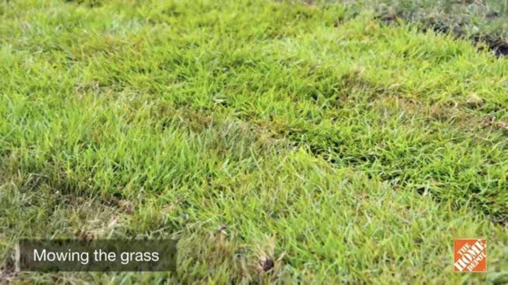 Professional yard cleanup service in Rockford, IL - Astros Full Lawncare Service