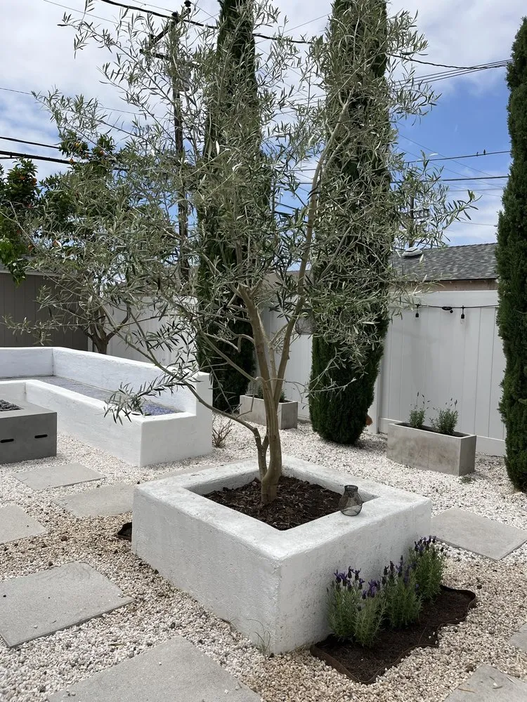 Trusted lawn care service experts serving Santa Ana, CA - Astro’s Landscaping