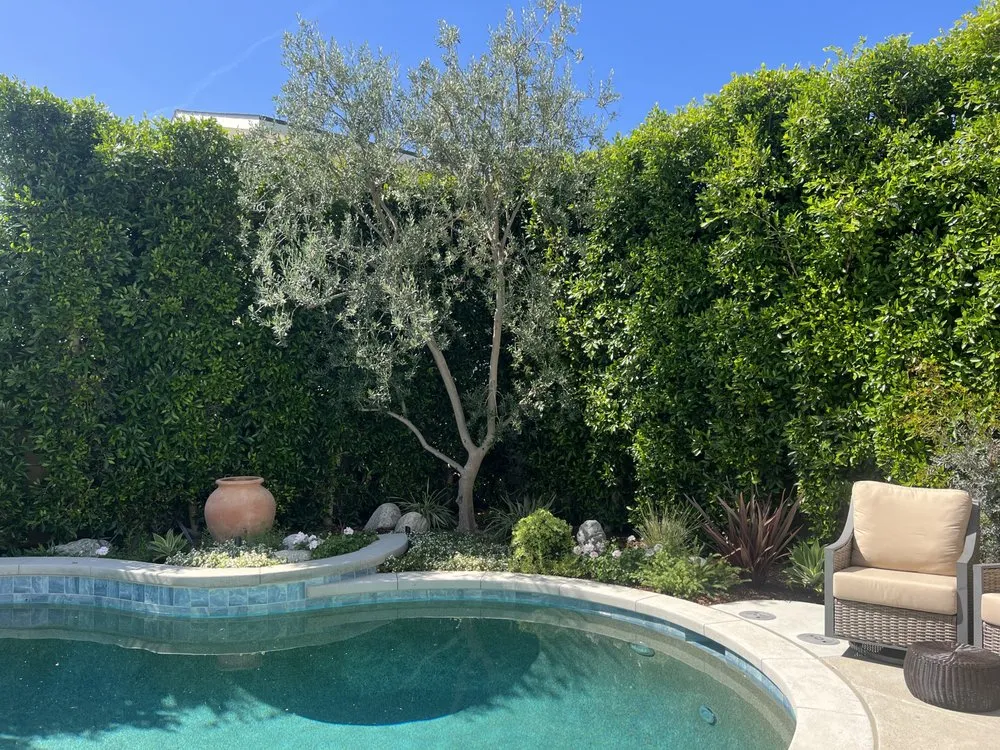 Top-rated lawn care service experts serving Santa Ana, CA - Astro’s Landscaping