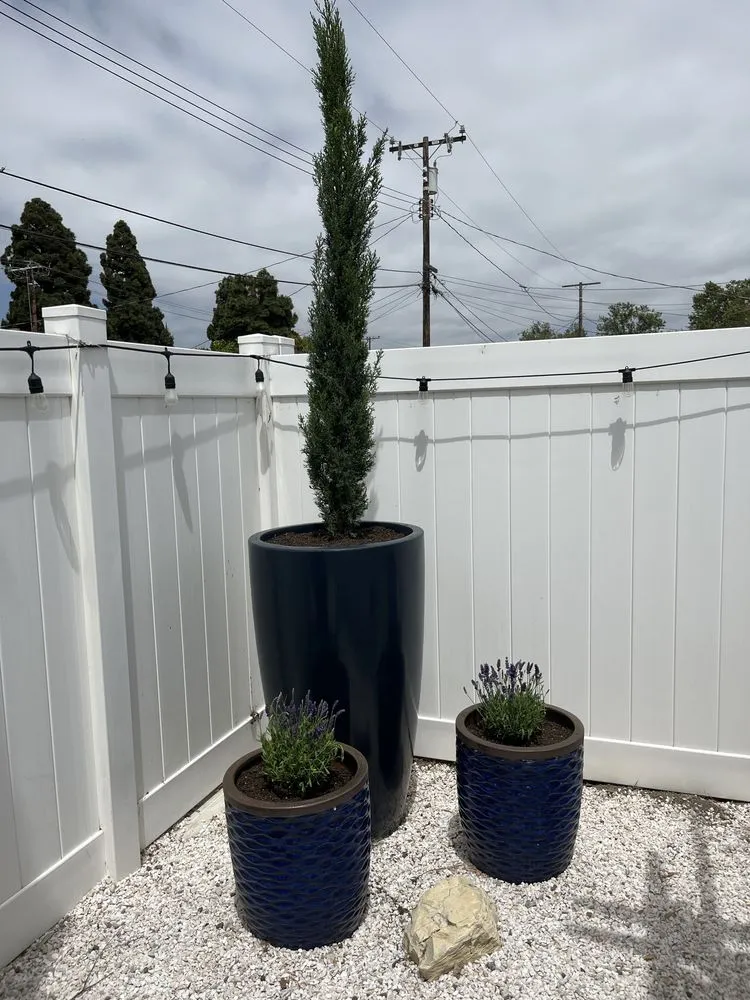 Expert landscape installation with custom design in Santa Ana, CA by Astro’s Landscaping