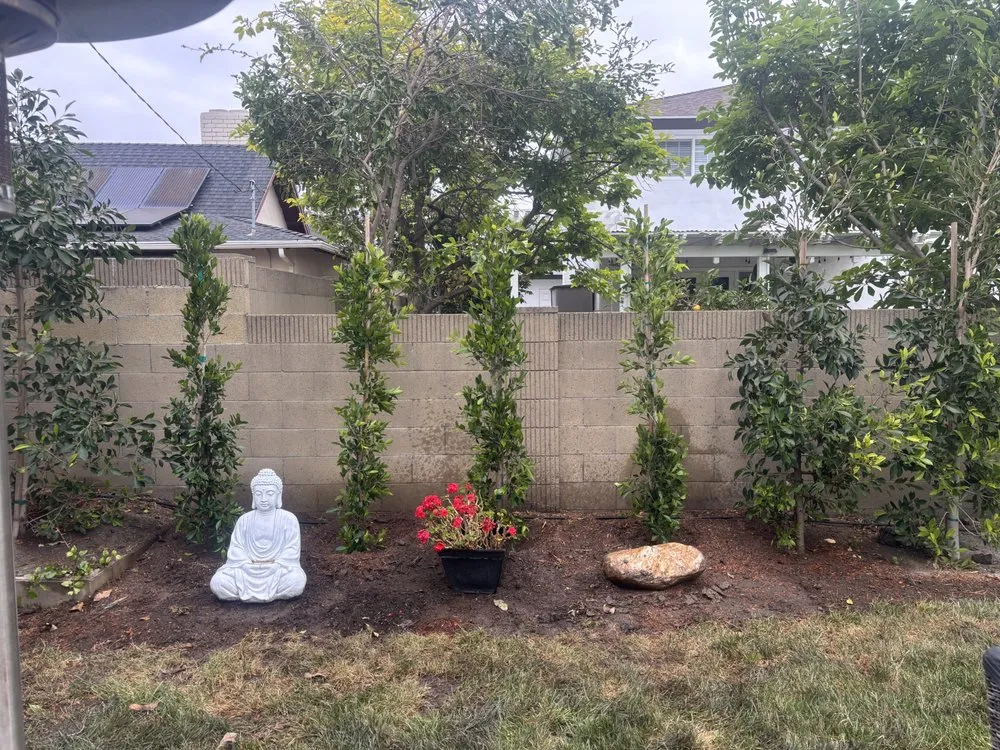 Affordable residential landscaping experts serving Santa Ana, CA - Astro’s Landscaping