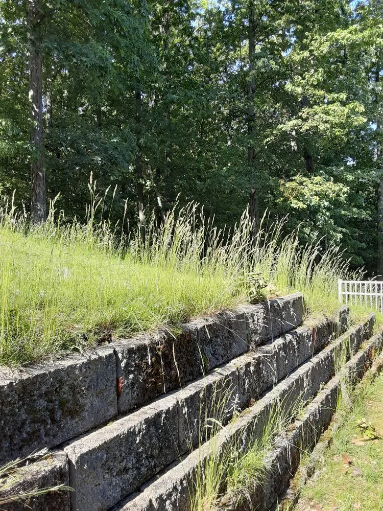 Affordable yard cleanup service experts serving Westlake, OH - Asturi Landscape Group