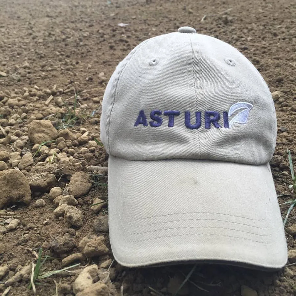 Custom residential landscaping for year-round maintenance in Westlake, OH by Asturi Landscape Group