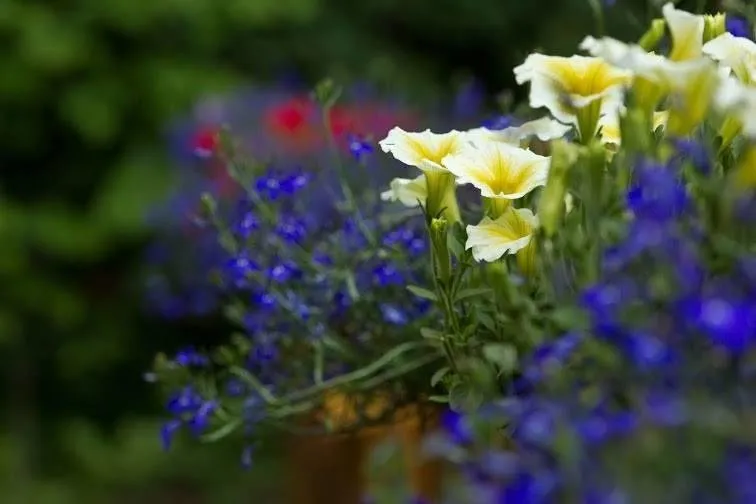 Local outdoor landscaping experts serving Westlake, OH - Asturi Landscape Group