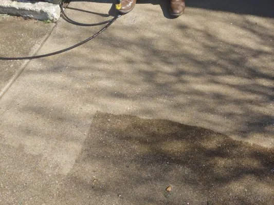 Astyn Landscaping Logo