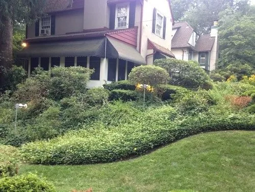 Affordable residential landscaping experts serving Fanwood, NJ - ASV Landscaping Design and Home Improvement