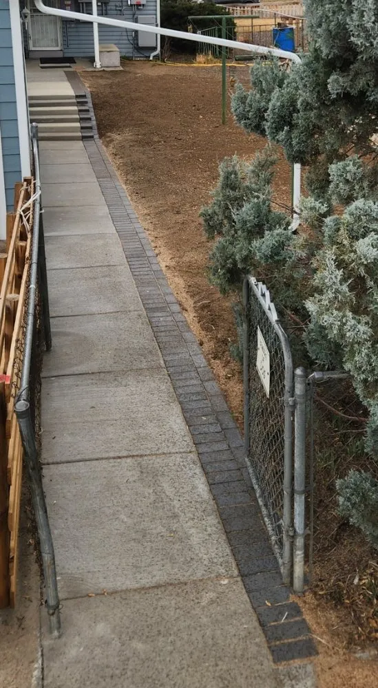 Trusted yard cleanup service in Denver, CO by ASW Construction