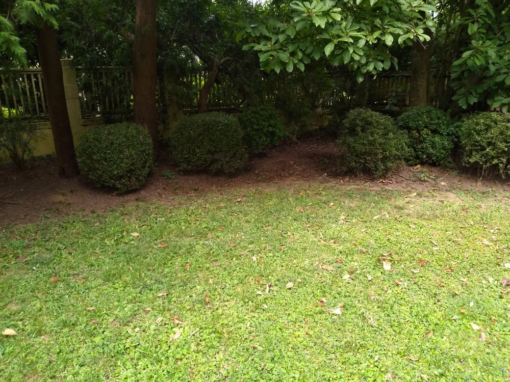 Trusted lawn care service experts serving Orange, NJ - At & L Strategic