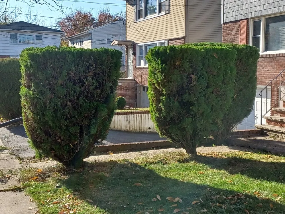 Local outdoor landscaping in Orange, NJ - At & L Strategic