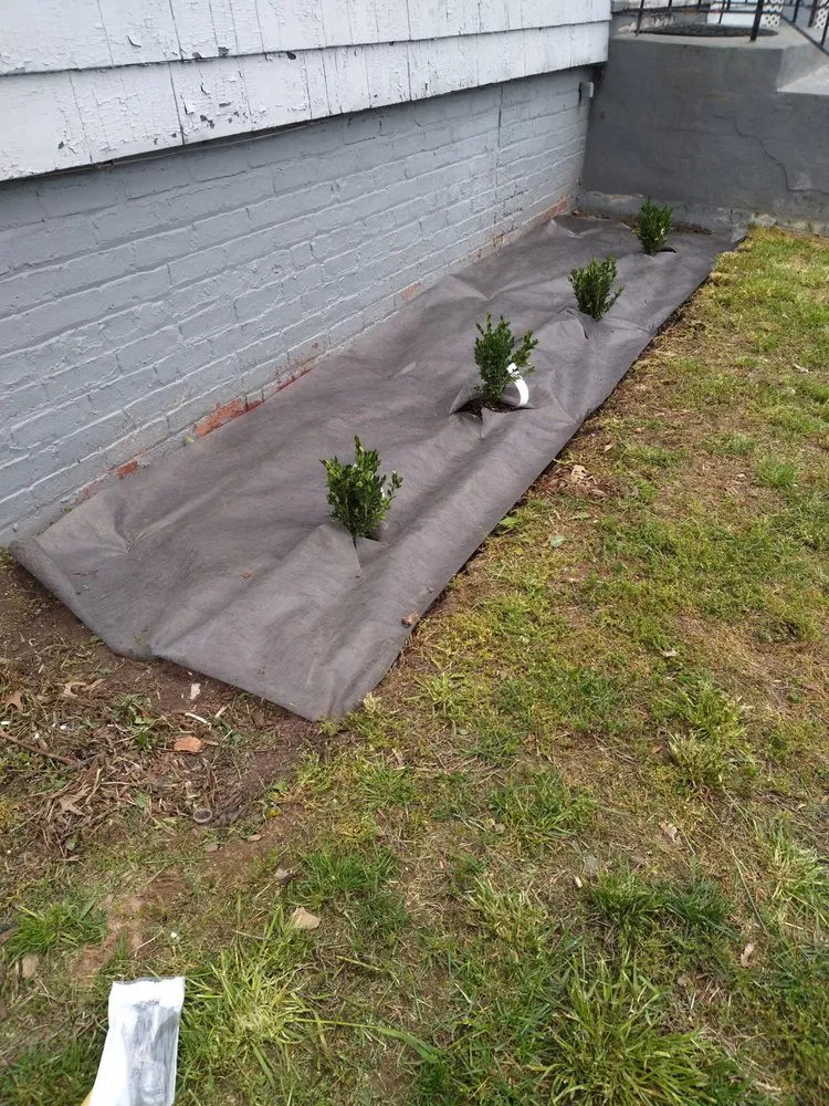 Trusted residential landscaping experts serving Orange, NJ - At & L Strategic