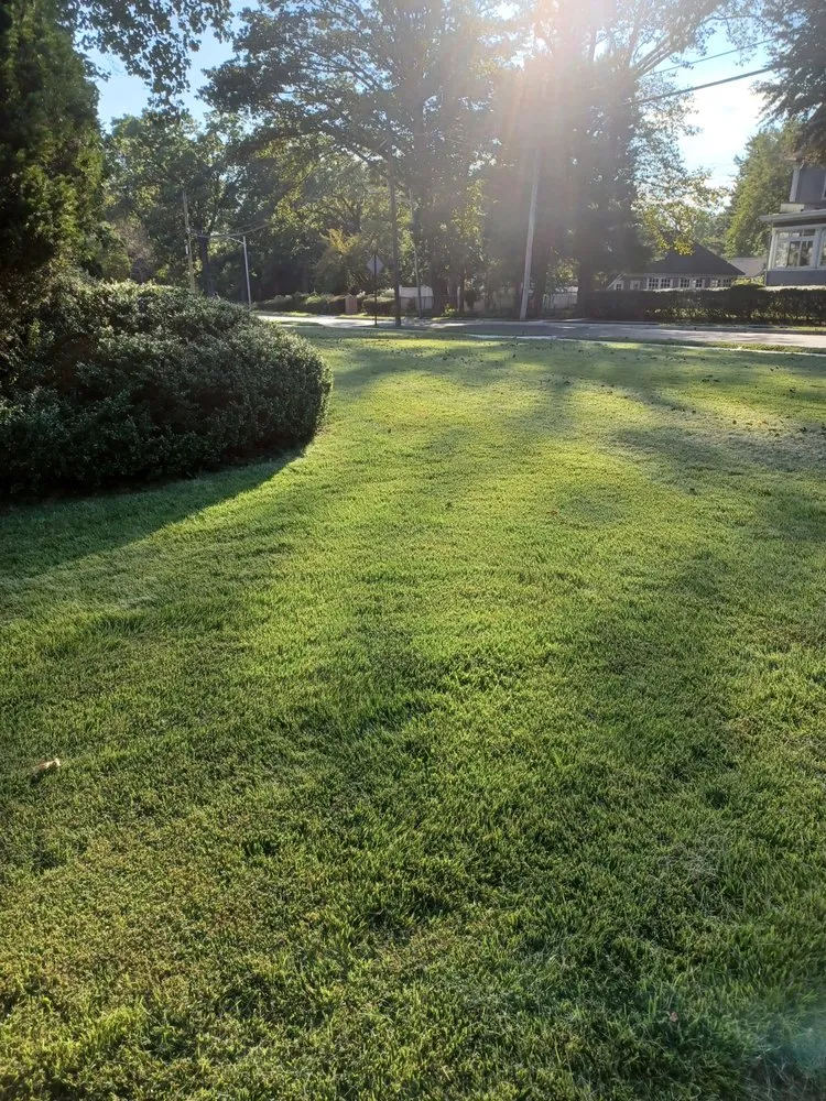 Top-rated yard maintenance for homes across Orange, NJ - At & L Strategic