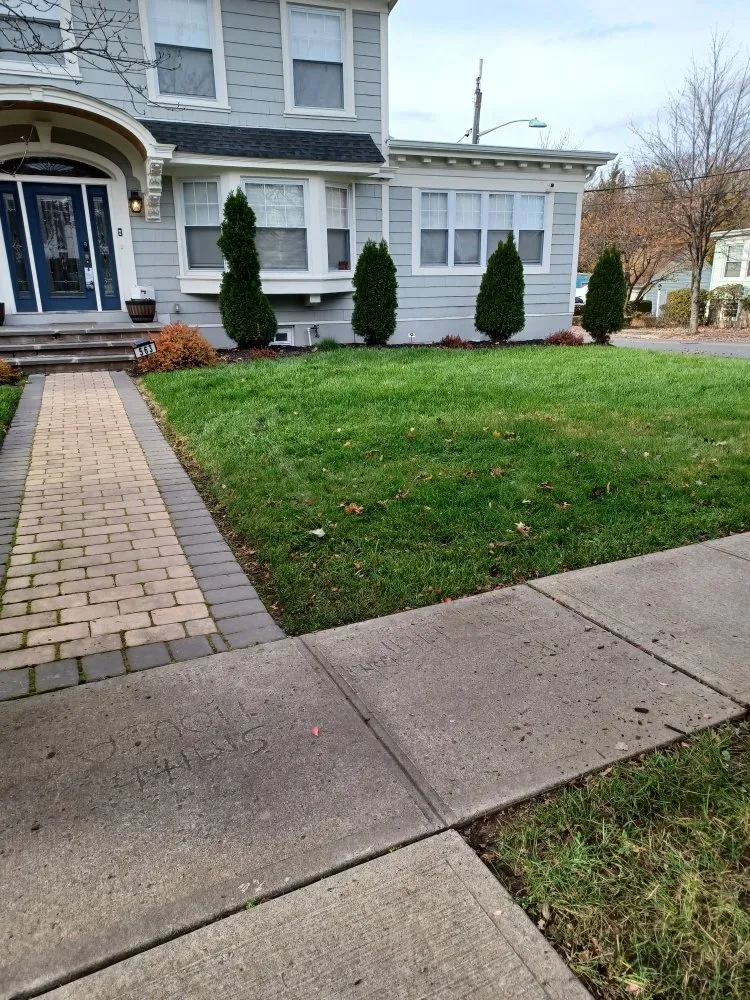 Professional lawn mowing service in Orange, NJ by At & L Strategic