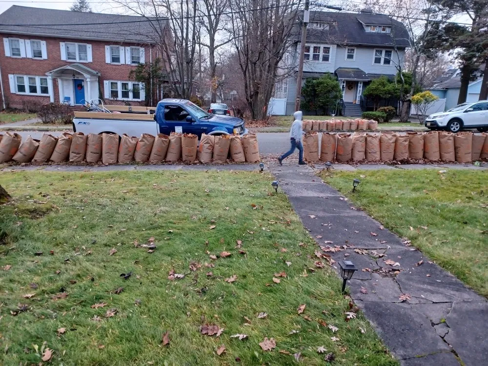 Local landscape design for year-round maintenance in Orange, NJ by At & L Strategic