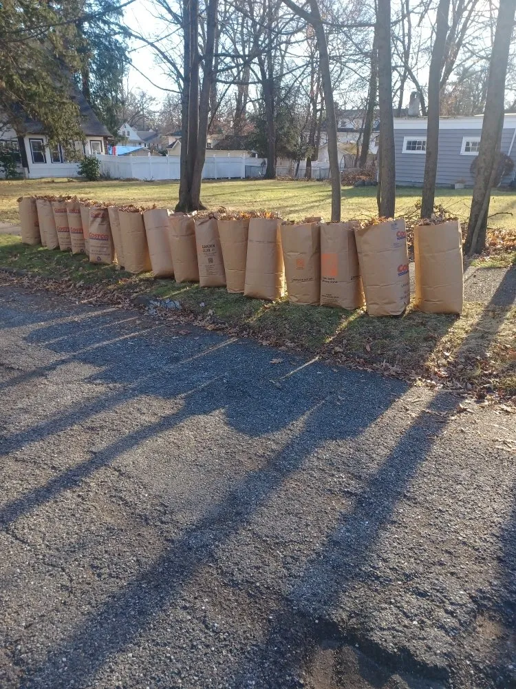 Trusted yard cleanup service in Orange, NJ - At & L Strategic