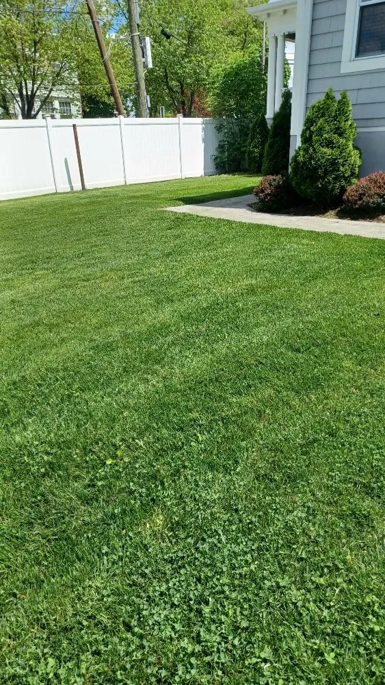 Trusted yard cleanup service for outdoor upgrades in Orange, NJ by At & L Strategic