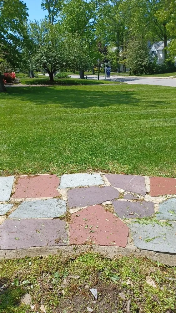 Reliable lawn care service for homes across Orange, NJ - At & L Strategic