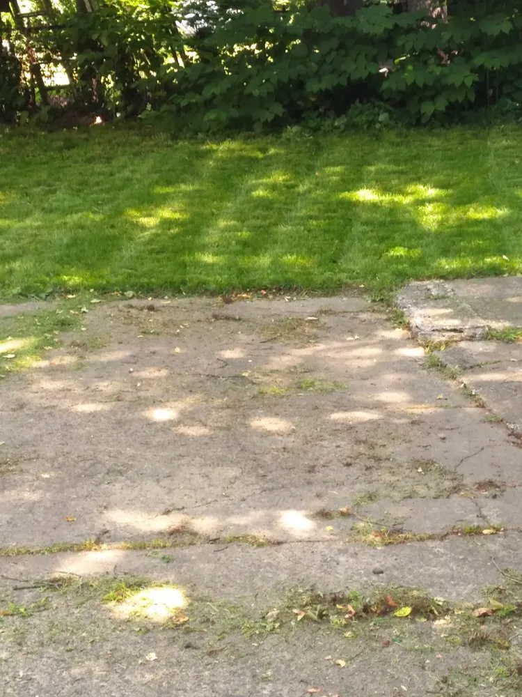 Local lawn mowing service in Orange, NJ by At & L Strategic