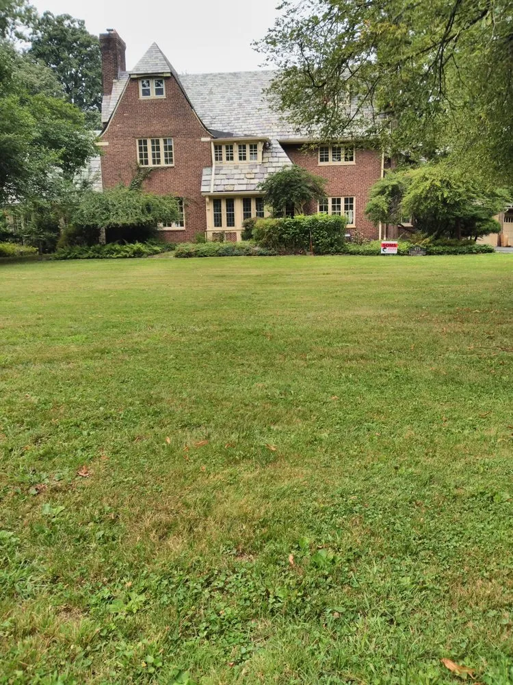 Professional residential landscaping for year-round maintenance across Orange, NJ - At & L Strategic