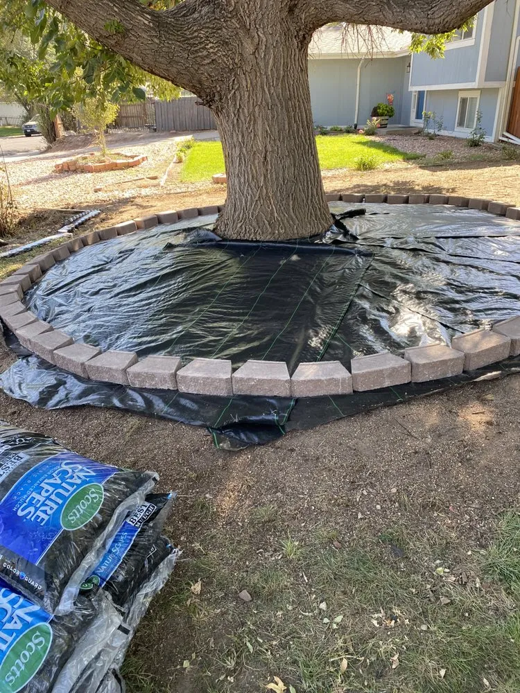 Trusted yard cleanup service experts serving Evans, CO - A&T Contractor Services