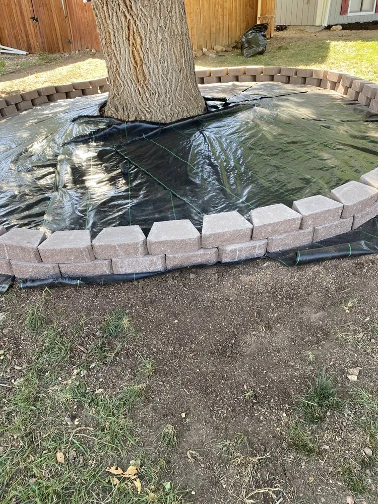 Trusted yard maintenance in Evans, CO by A&T Contractor Services