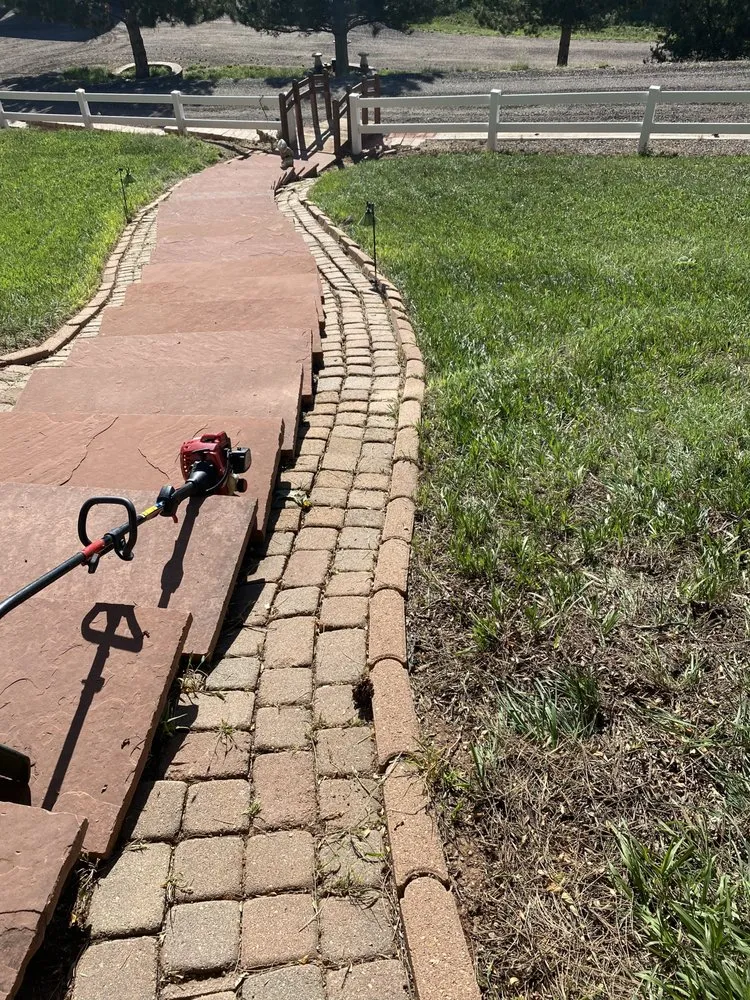 Local yard cleanup service in Evans, CO - A&T Contractor Services