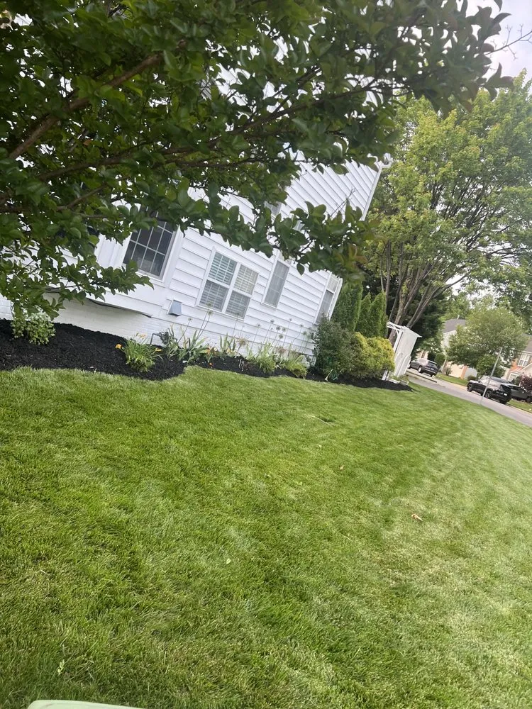 Top-rated yard maintenance for beautiful yards in Lorton, VA by AT General Contracting Services