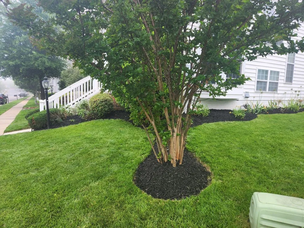 Custom lawn care service for residential properties in Lorton, VA by AT General Contracting Services