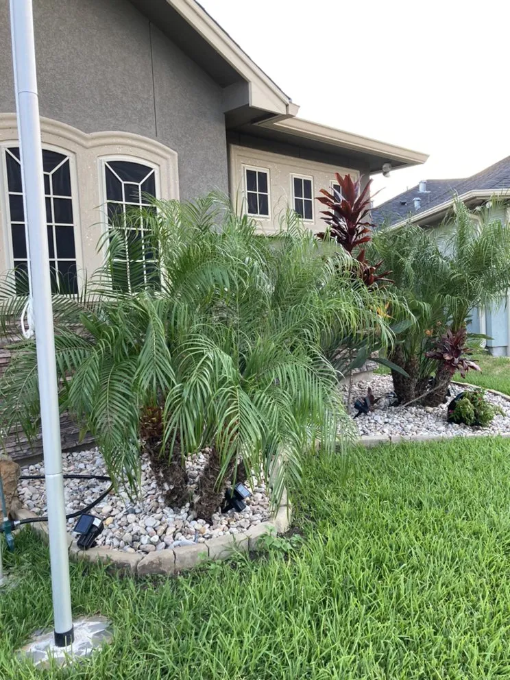 Local lawn care service experts serving Corpus Christi, TX - A&T Hardscape Pro