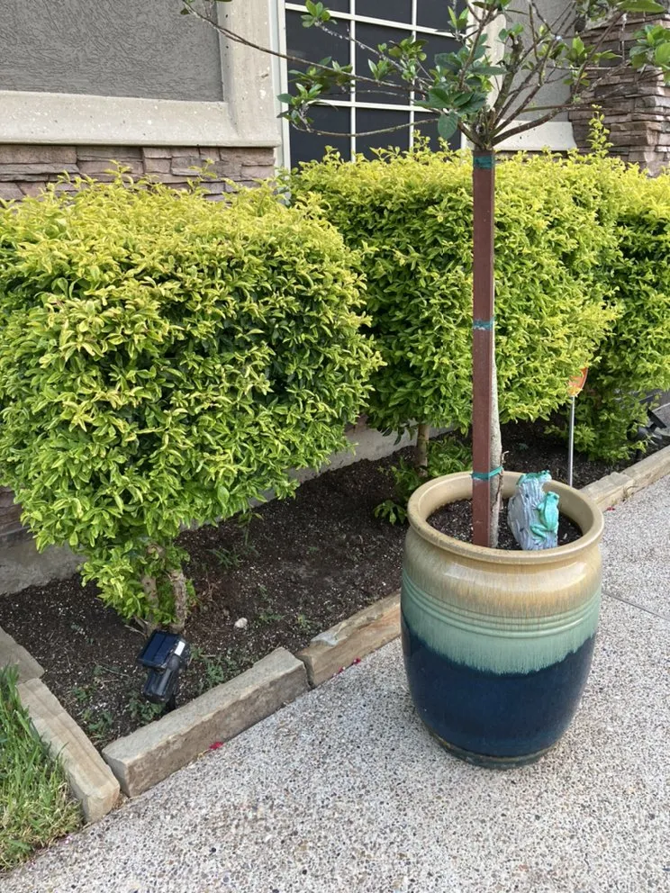 Local landscape design near you in Corpus Christi, TX by A&T Hardscape Pro