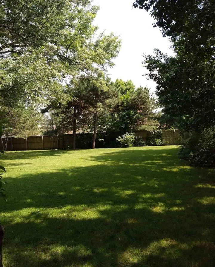 Affordable residential landscaping experts serving Joplin, MO - At Home Services