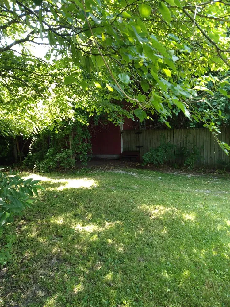 Reliable lawn care service for year-round maintenance in Joplin, MO by At Home Services