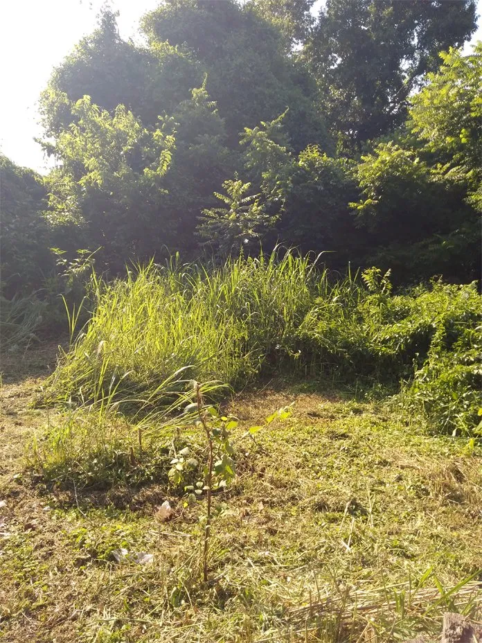 Professional garden landscaping in Joplin, MO by At Home Services