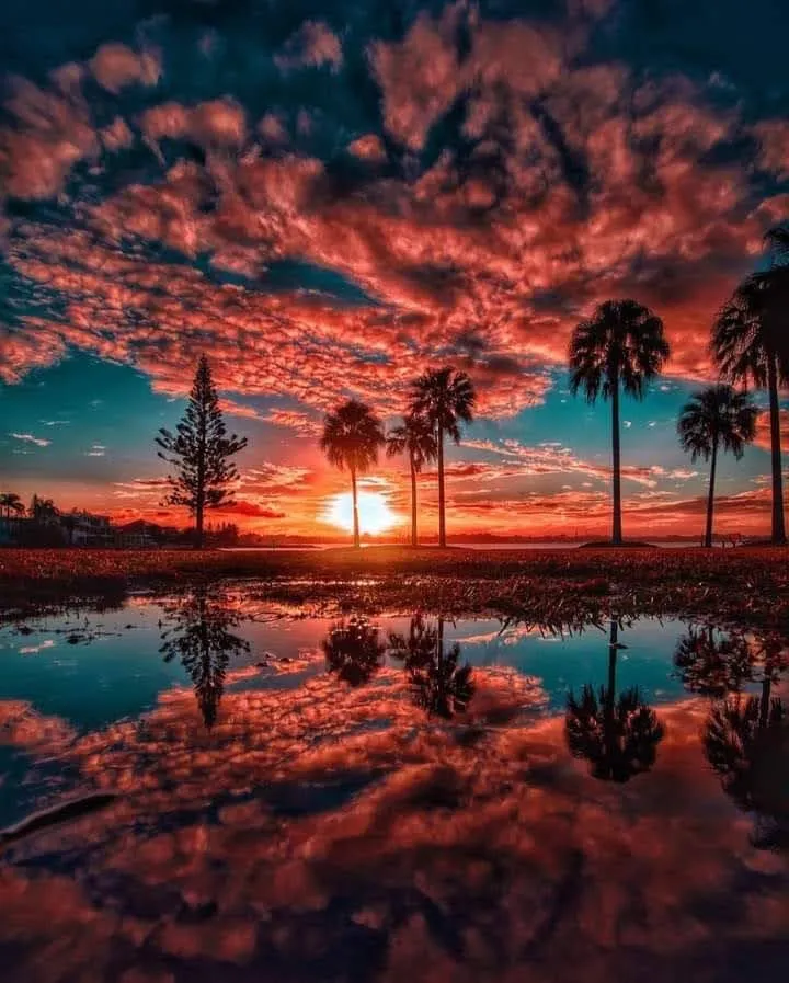 Professional garden landscaping with custom design across Joplin, MO - At Home Services