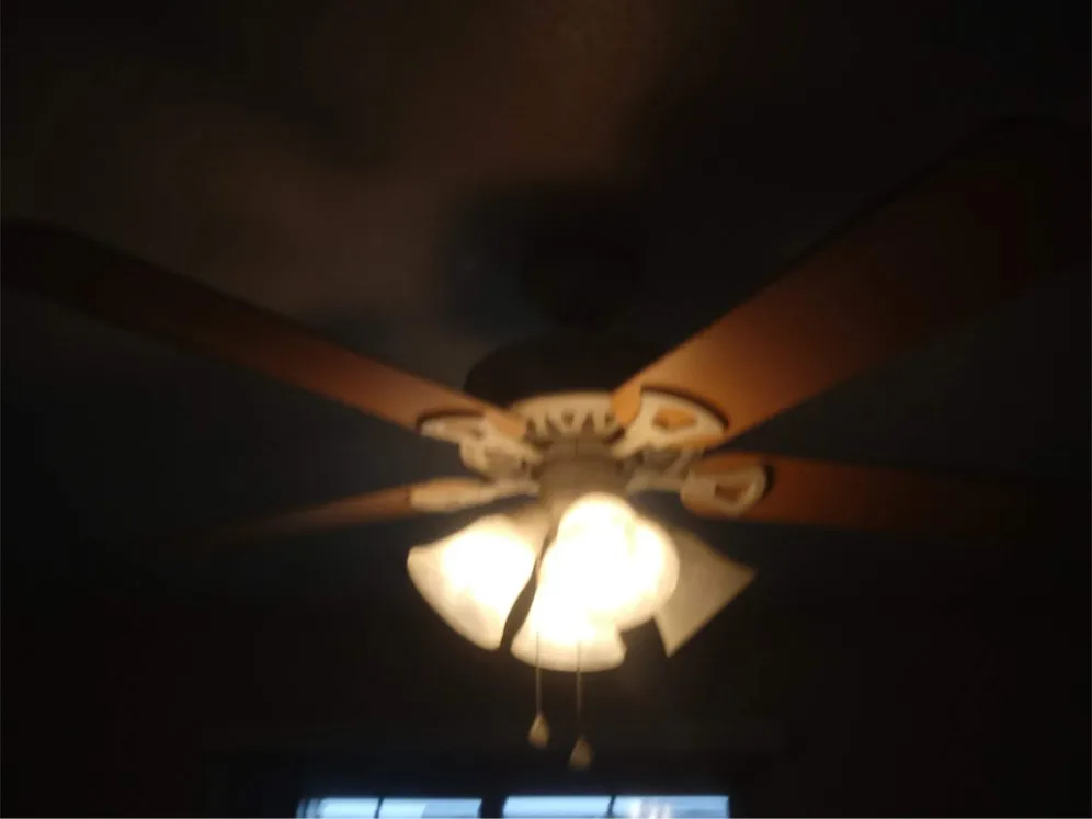 Local yard cleanup service for residential properties in Joplin, MO by At Home Services