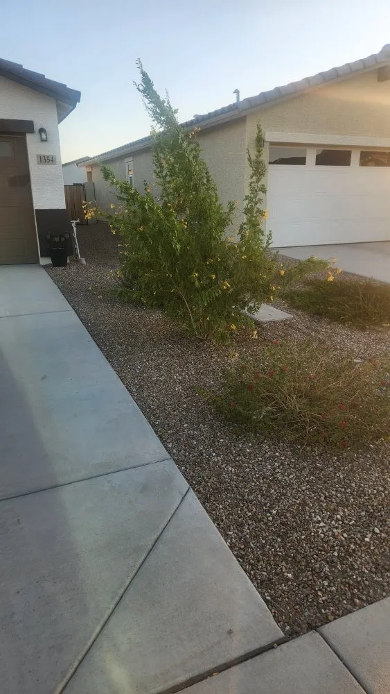 Custom lawn care service for beautiful yards in Coolidge, AZ by A&T Irrigation & Landscape