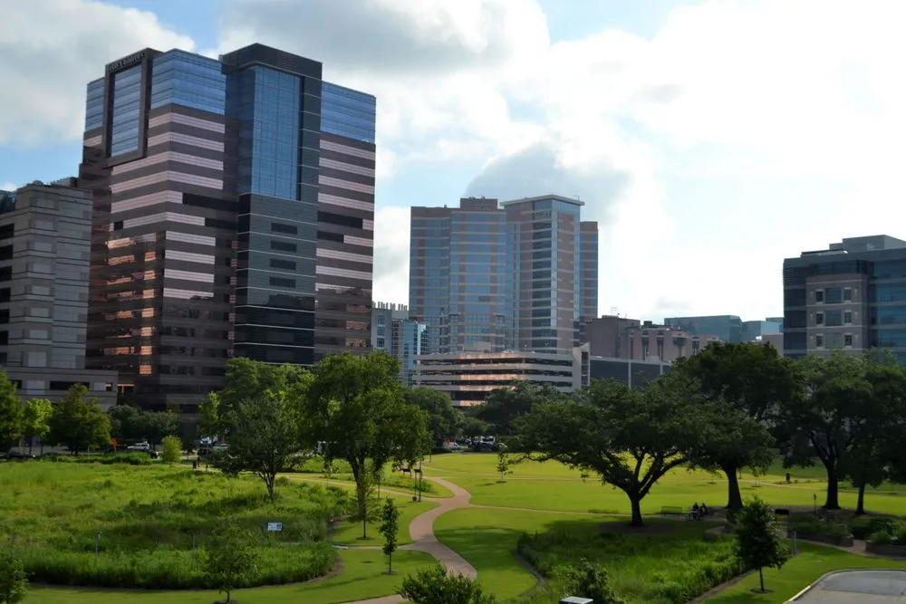 Trusted yard cleanup service experts serving Weatherford, TX - A&T Landscaping