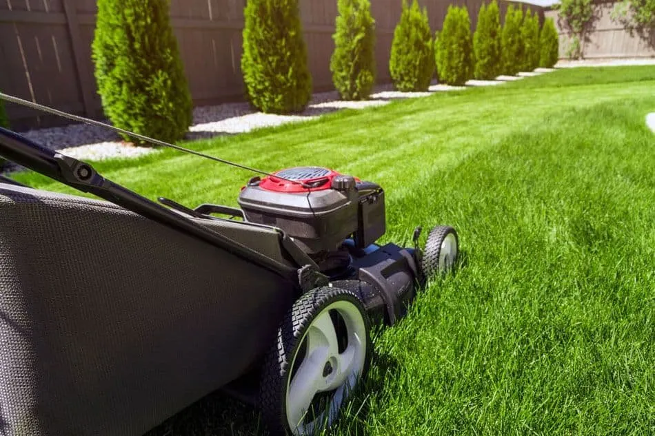 Local landscaping services in Grand Prairie, TX by A.T. Lawn Service