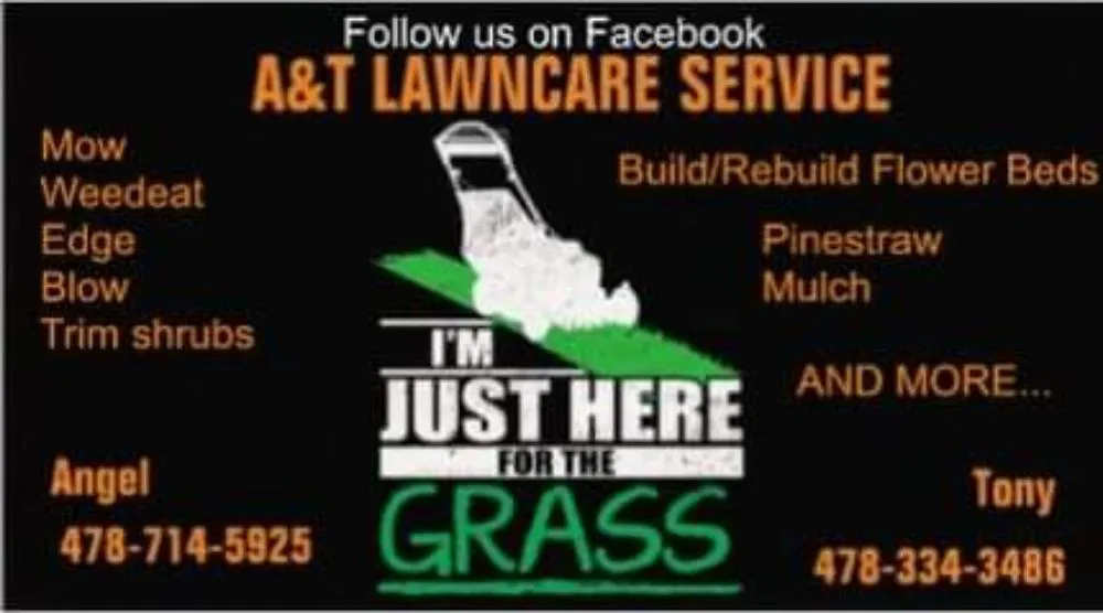 Professional yard cleanup service for year-round maintenance across Warner Robins, GA - A&T Lawncare Service