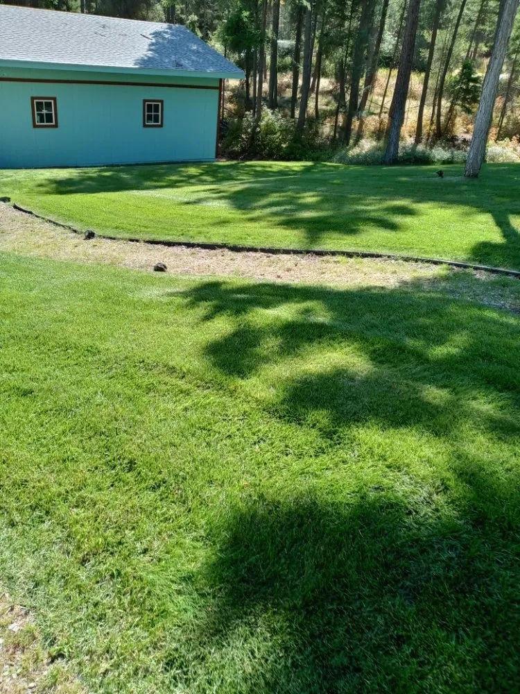 Expert yard cleanup service experts serving Creston, MT - At Nature's Edge Landscaping