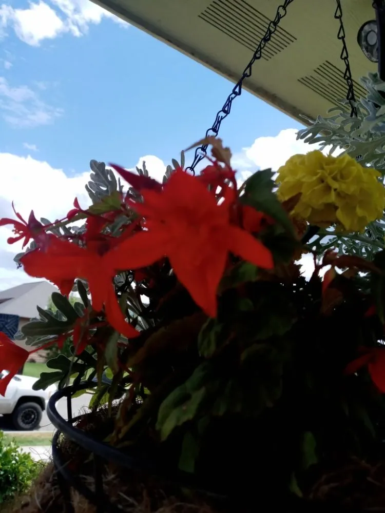 Professional landscape installation in Creston, MT - At Nature's Edge Landscaping
