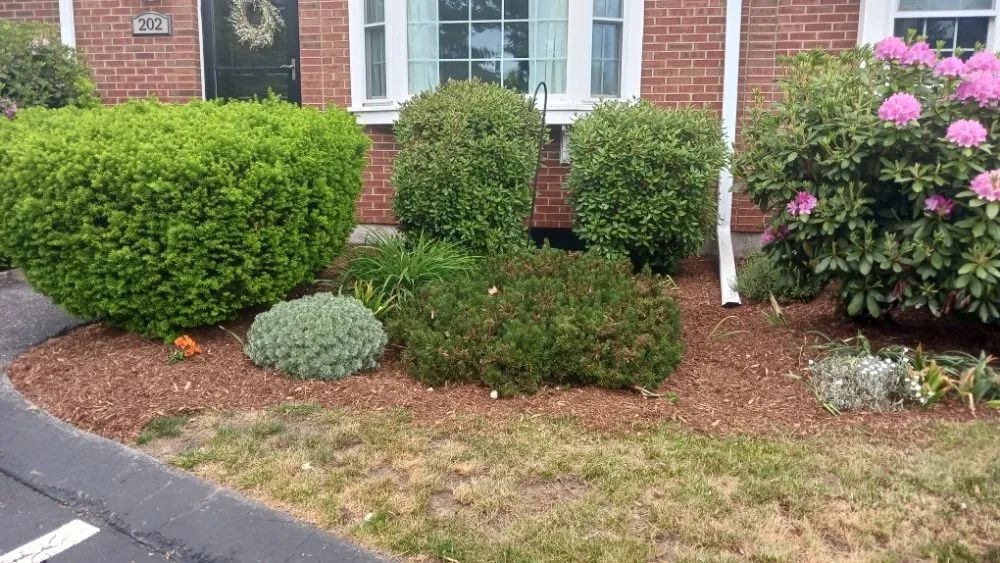 Professional yard maintenance for homes in Boston, MA by At Nick of Time Landscaping & More