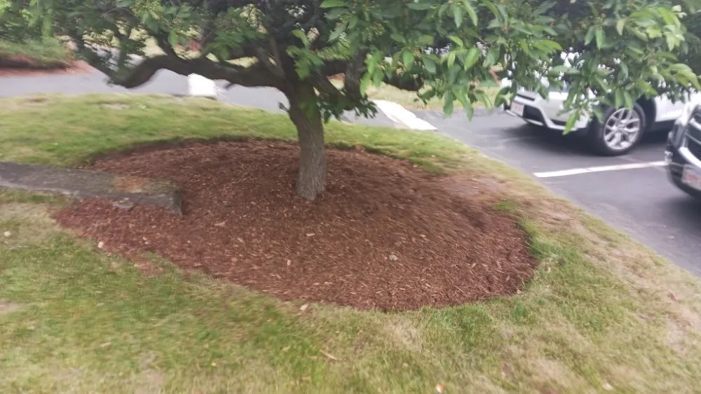 Custom lawn care service with custom design in Boston, MA by At Nick of Time Landscaping & More