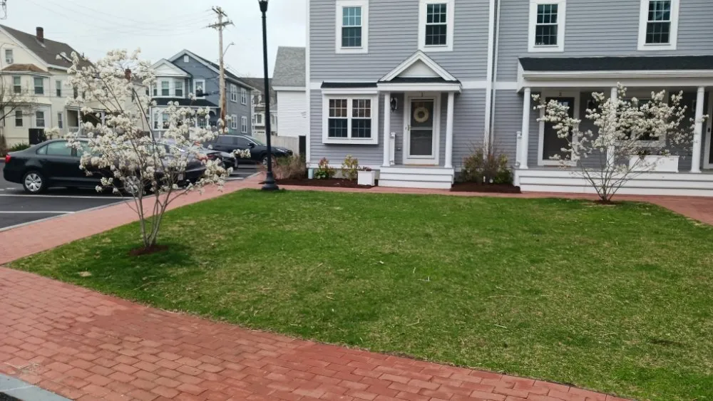 Affordable yard maintenance in Boston, MA by At Nick of Time Landscaping & More