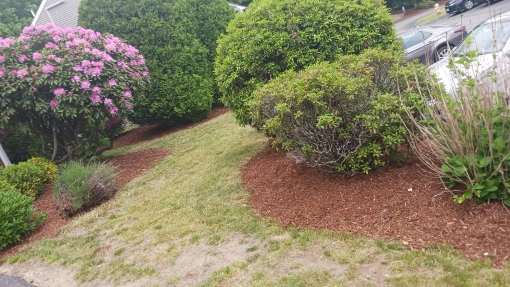 Top-rated residential landscaping for homes in Boston, MA by At Nick of Time Landscaping & More