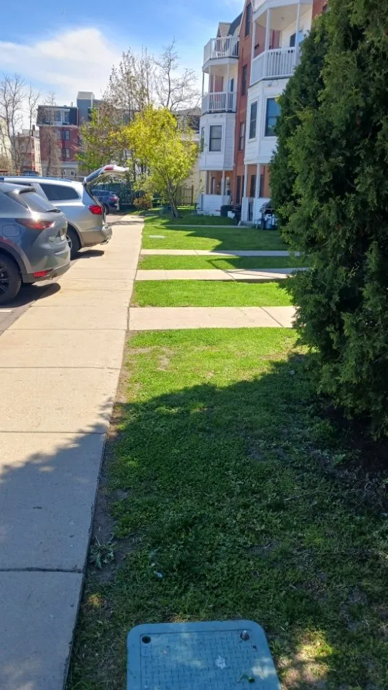 Expert lawn care service in Boston, MA - At Nick of Time Landscaping & More