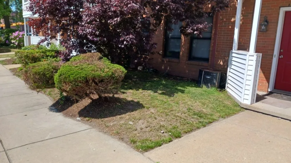 Trusted yard cleanup service experts serving Boston, MA - At Nick of Time Landscaping & More