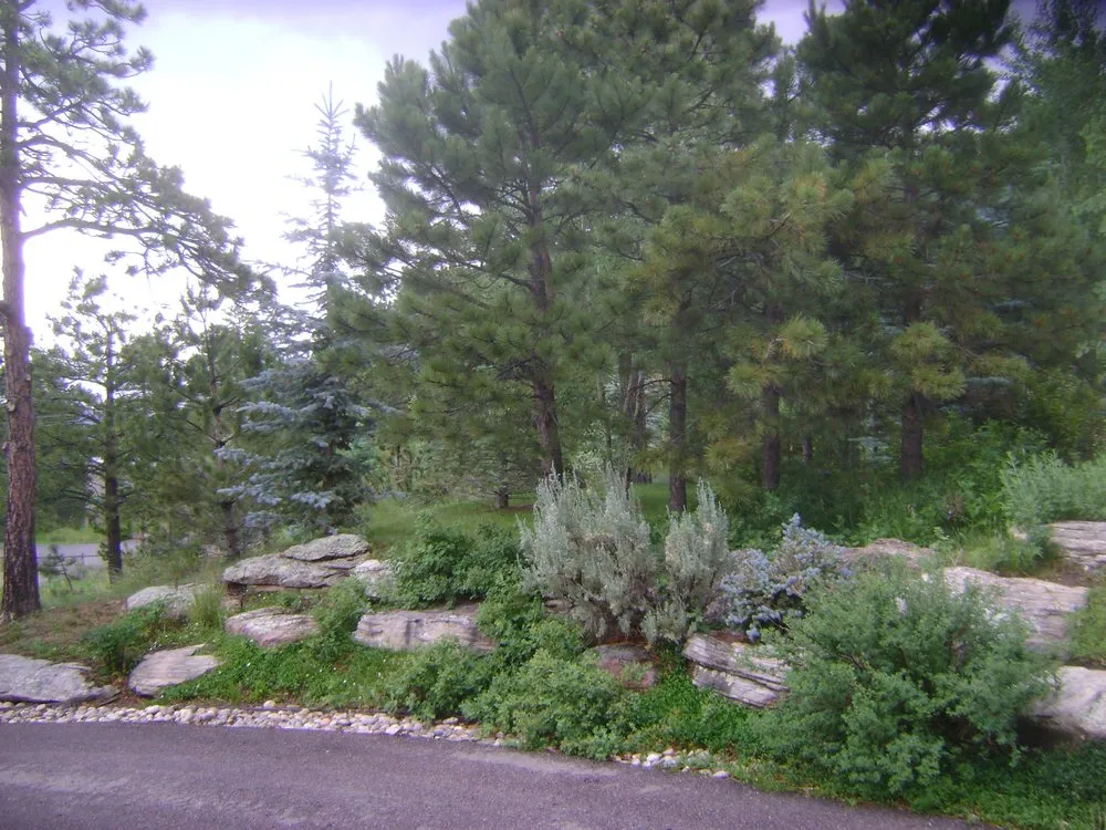 Reliable yard maintenance near you in Denver, CO by A.T. Sipes