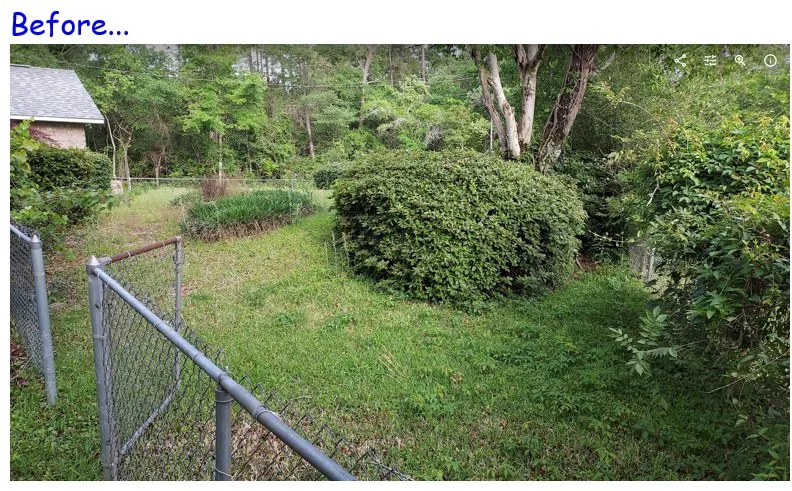 Top-rated lawn care service in Cantonment, FL - At The Cornerstone